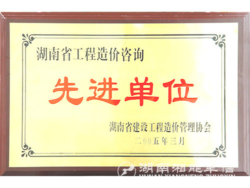 04年湖南省工程造價咨詢先進(jìn)單位